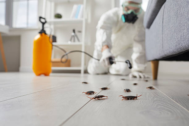 Trusted Termite Control service in Galesville, MD - Nex Pest Control