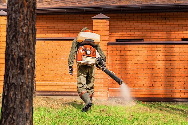 Trusted Fumigation Services service in Galesville, MD - Nex Pest Control